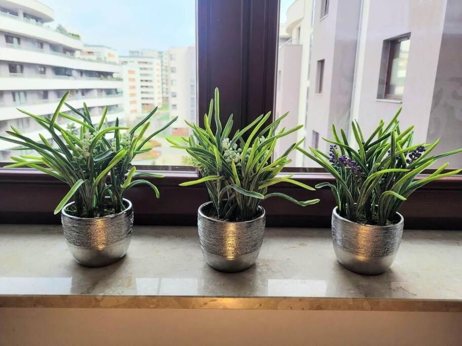 Apartment Sophie 3 Rooms, 2 Bathrooms, 8 Persons Krakow Dış mekan fotoğraf